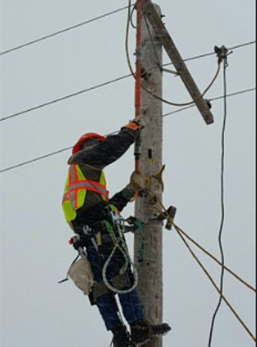 Screenshot 2026-03-15 105920